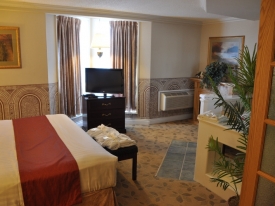 premium suite
